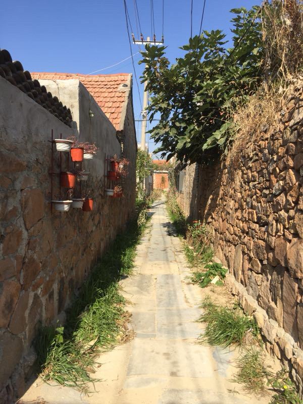 乳山刘迎农家乐