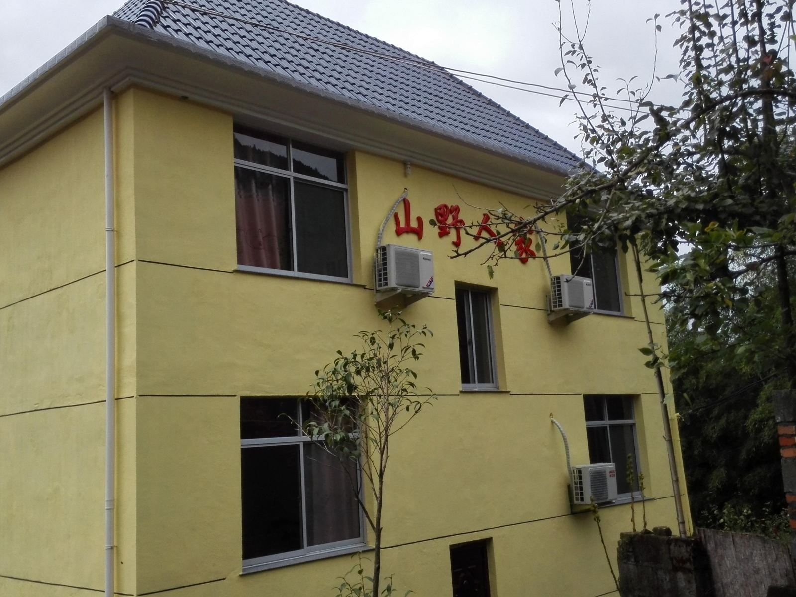外观