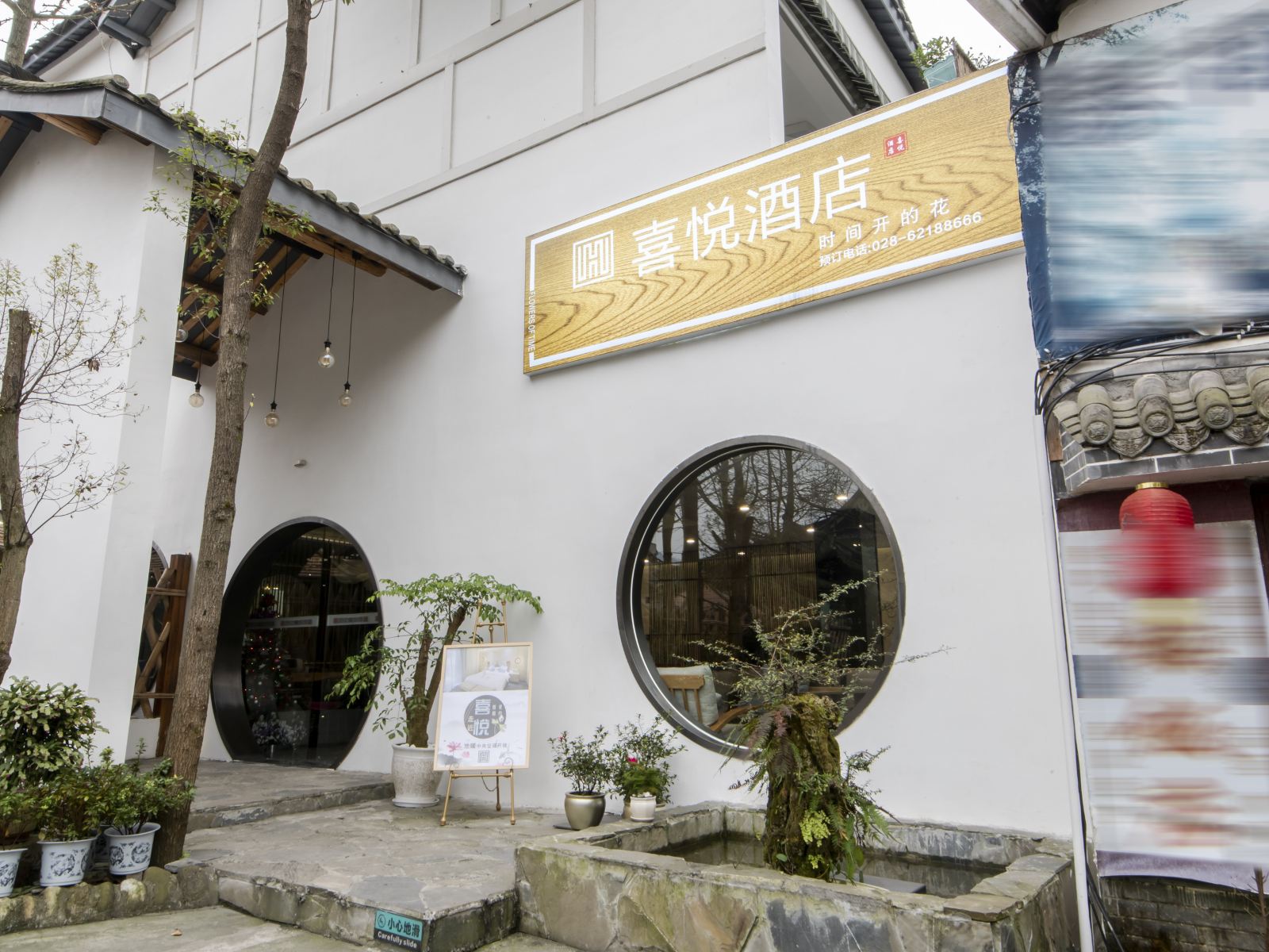 外观