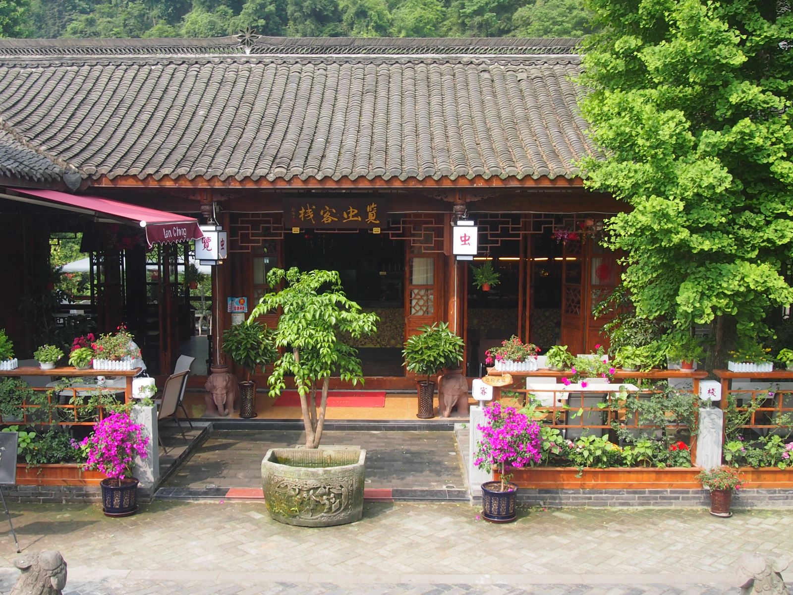 外观