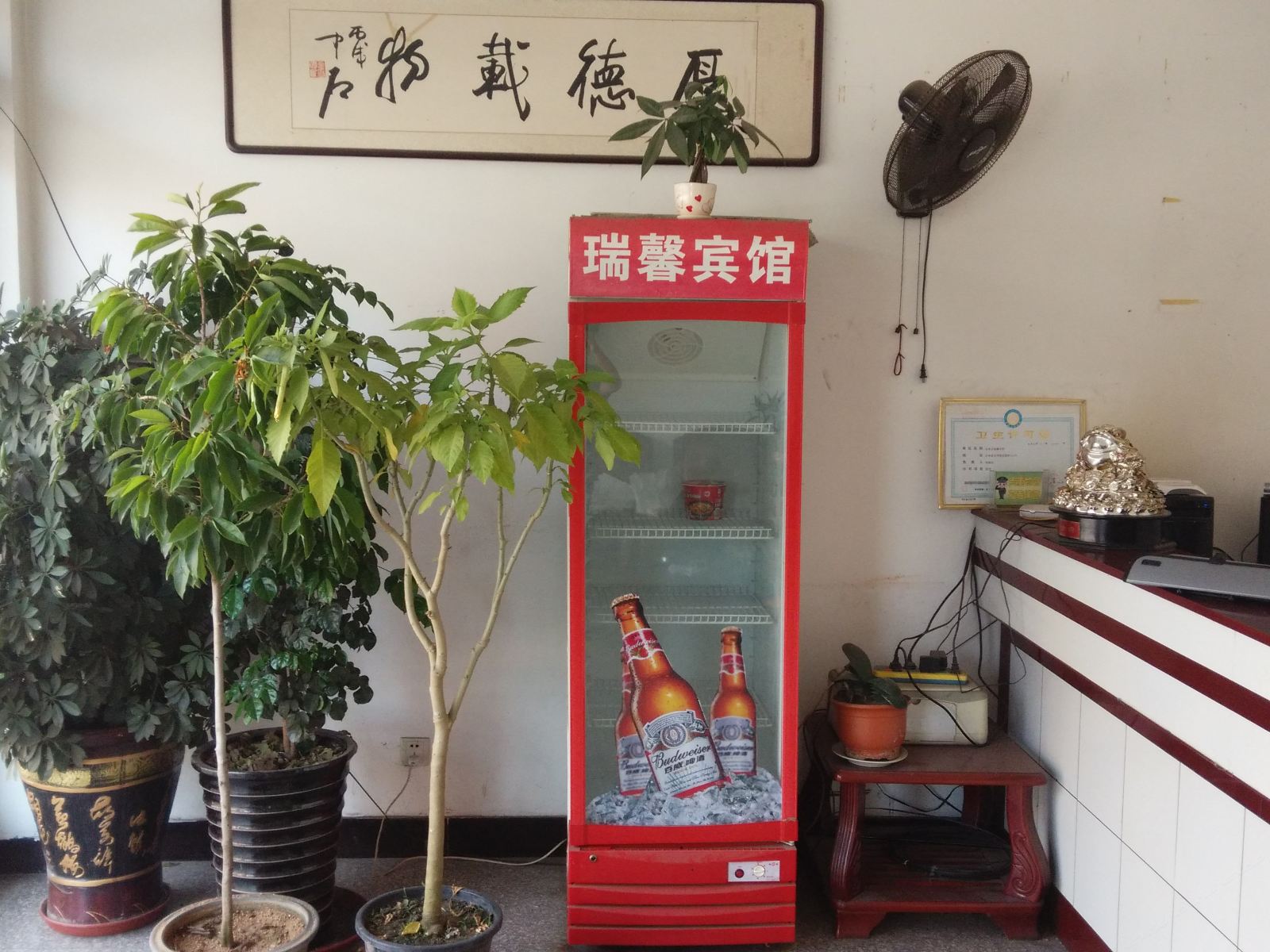 公共区域