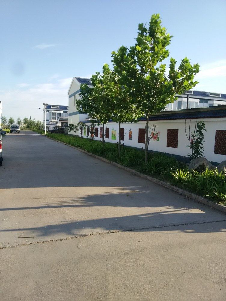三岛别墅农家院(乐亭滨海大道店)
