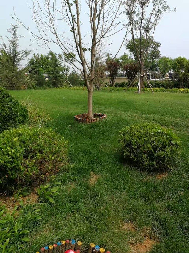 乐亭存在的小屋