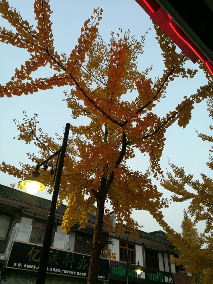 大邑仁里客栈