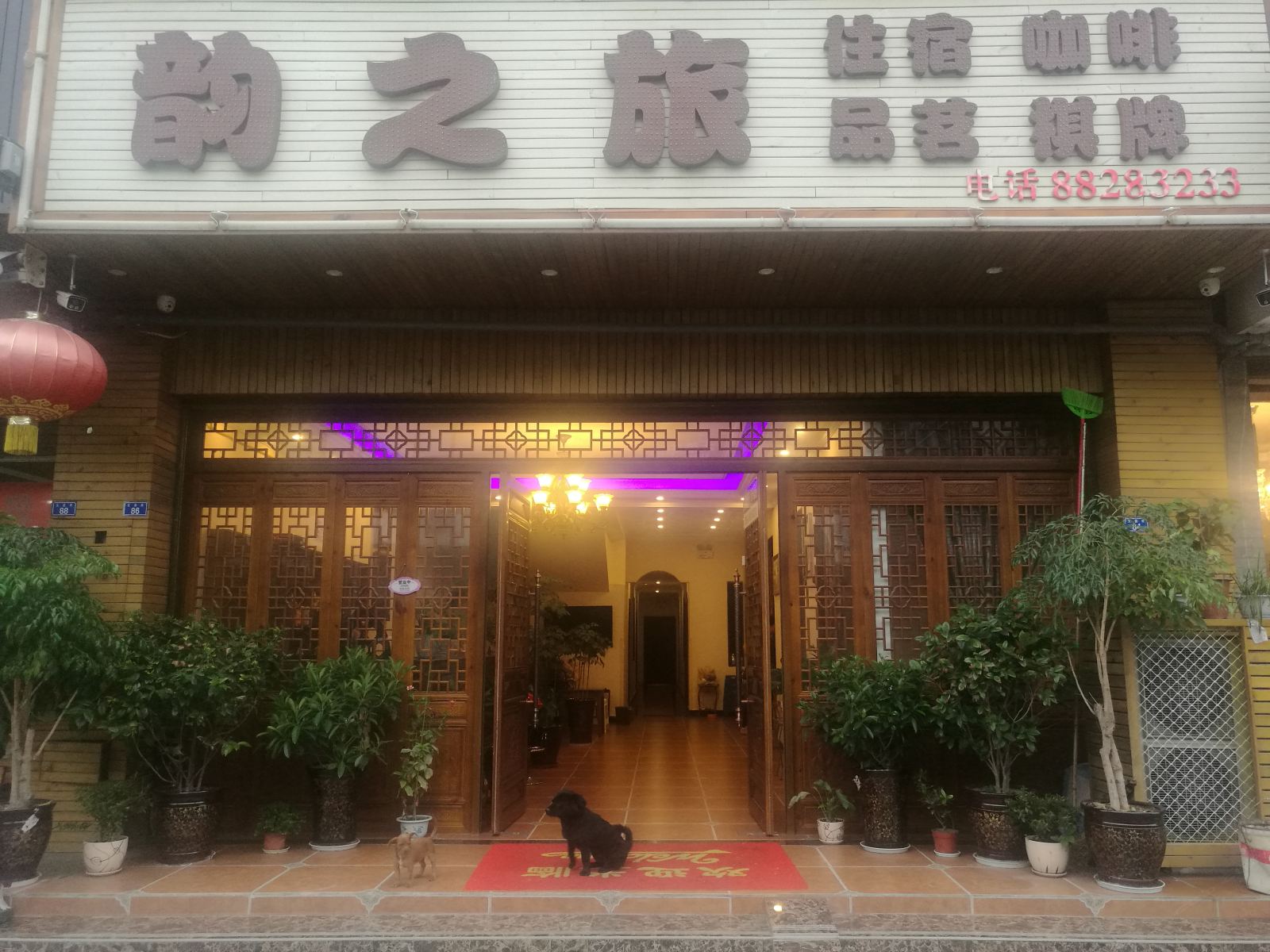 外观