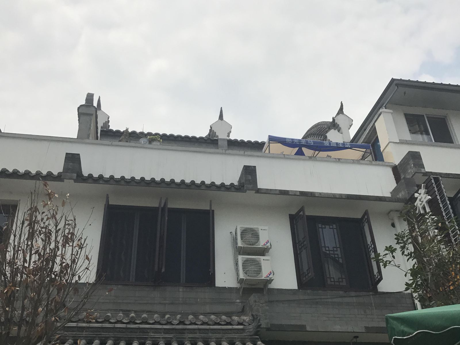 外观