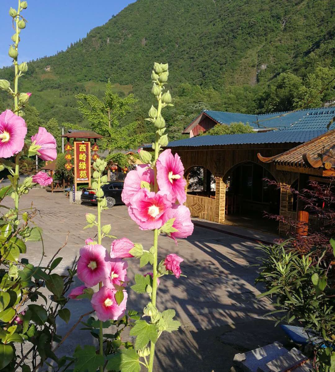 西岭雪山绿苑农家乐