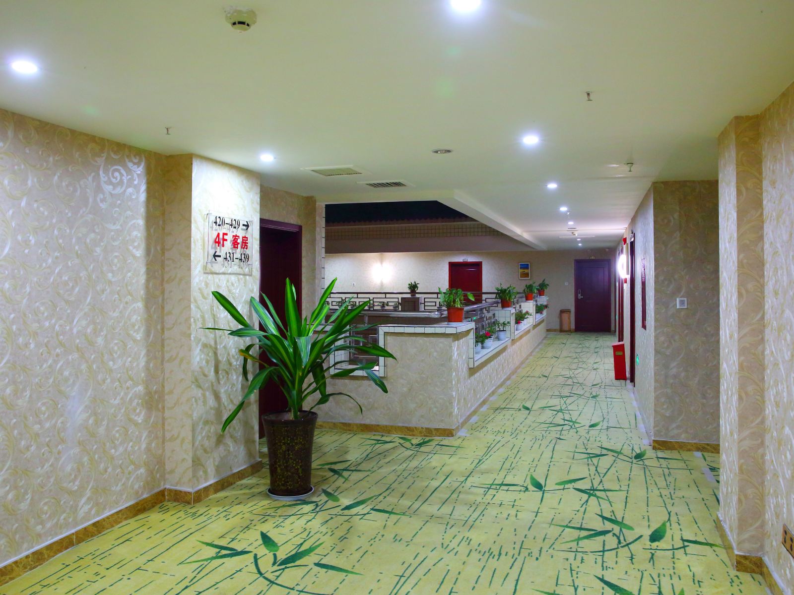 公共区域