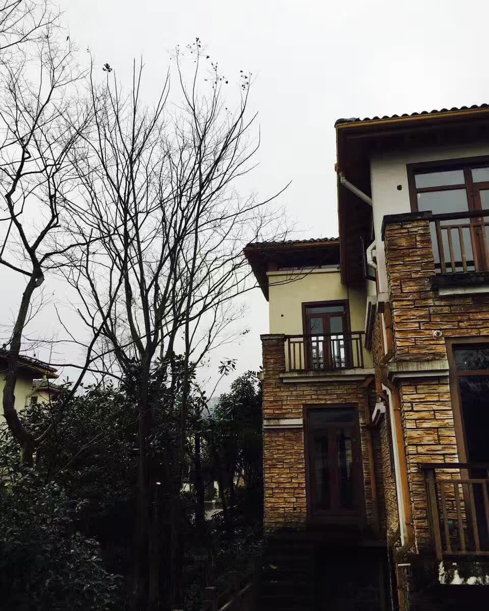 成都大邑王山别墅式酒店雨雪霏扉