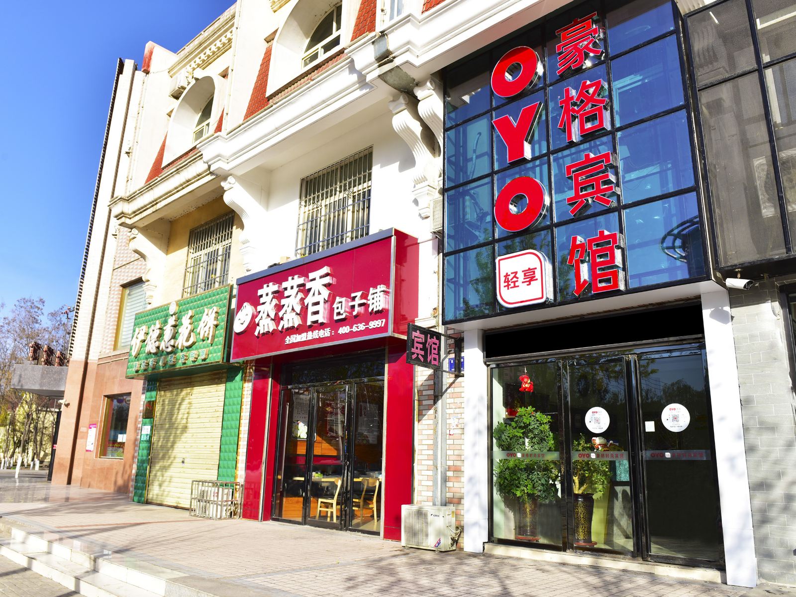 外观