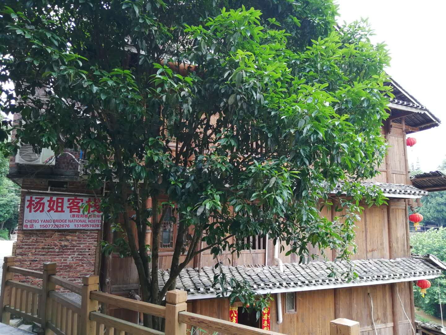 程阳桥杨姐客栈