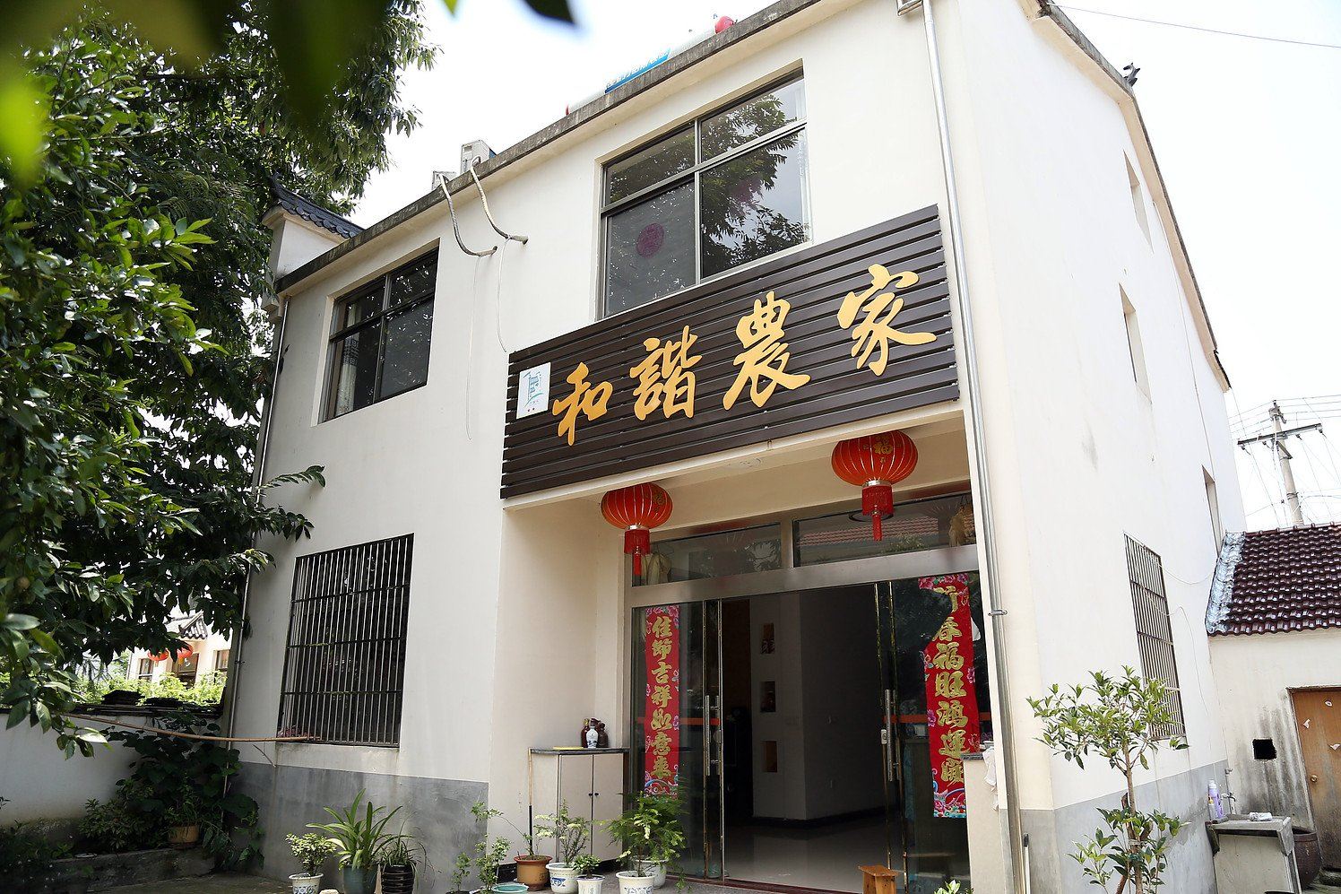 外观