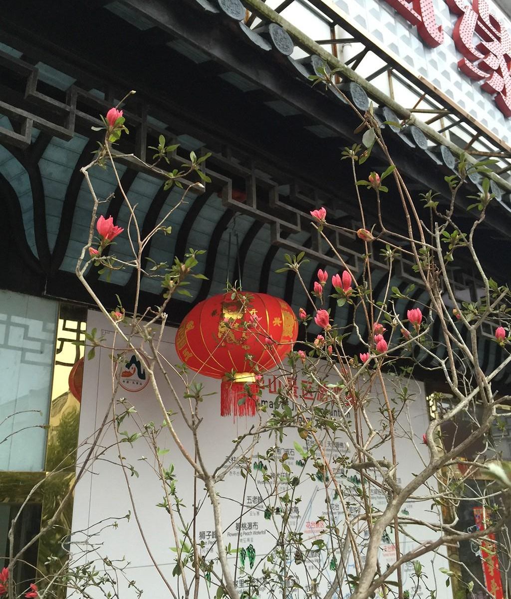 九华山凤凰缘宾馆