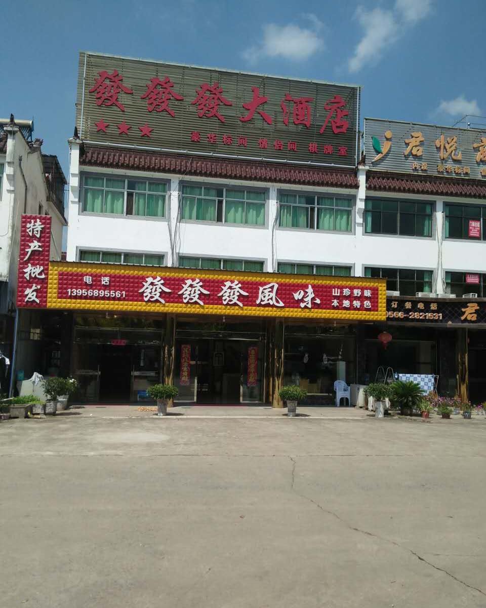 九华山发发发大酒店