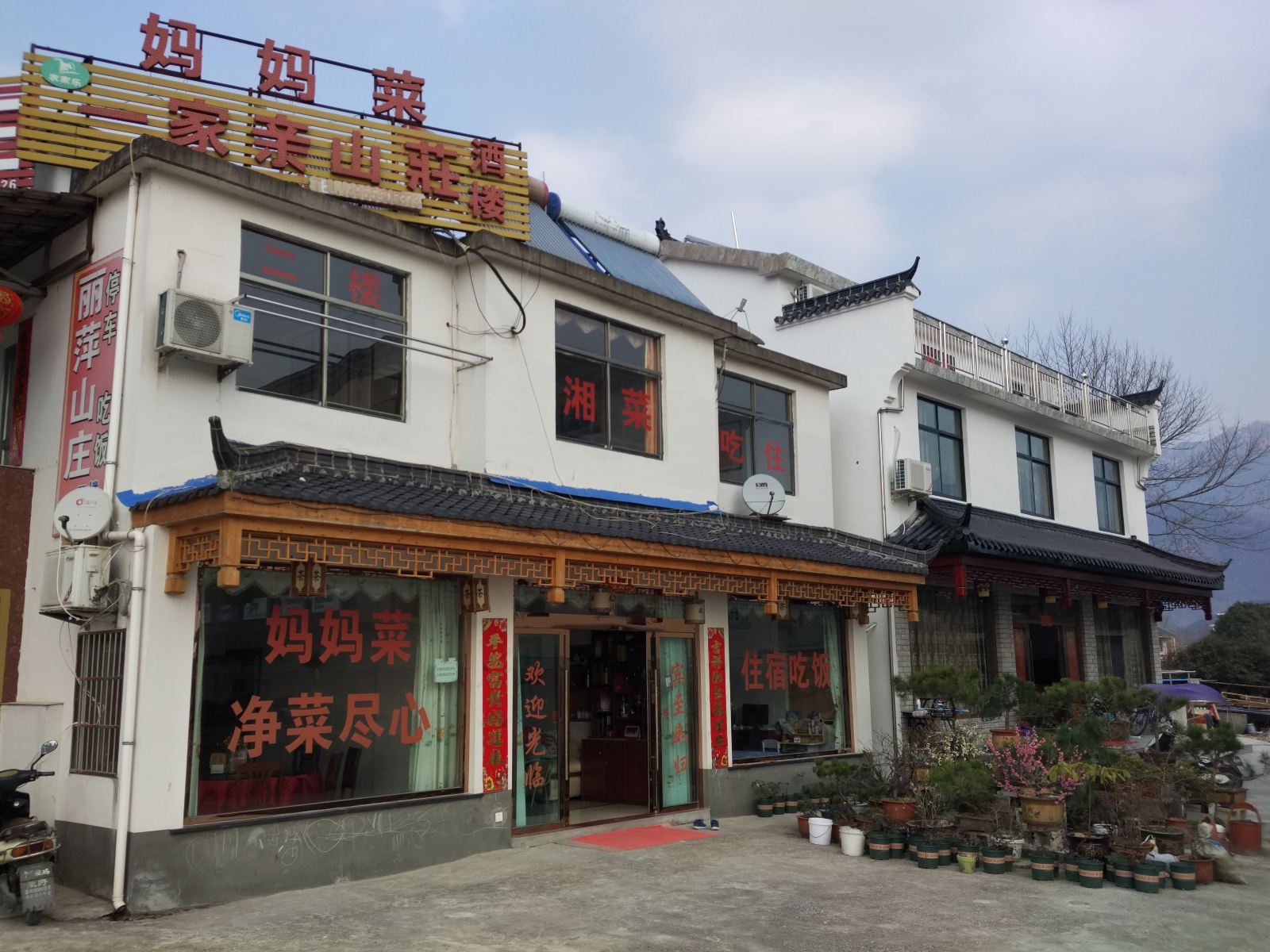 外观