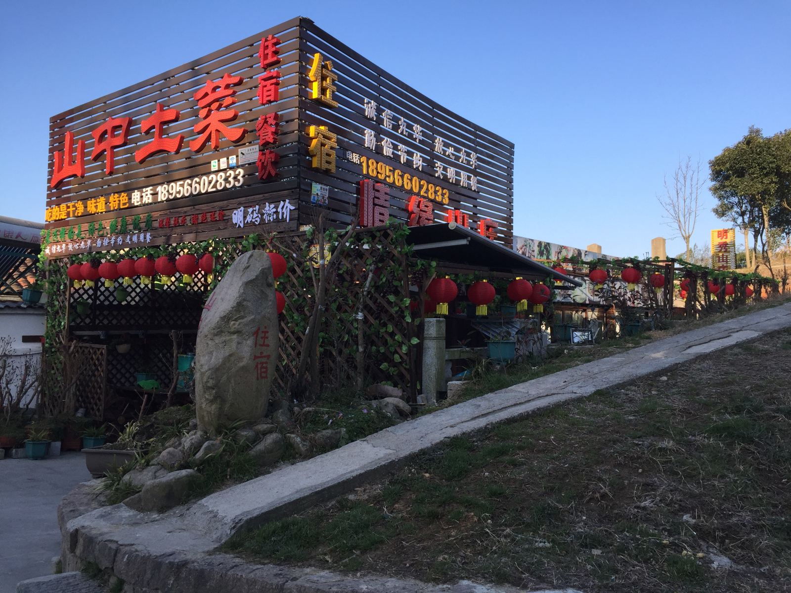 外观
