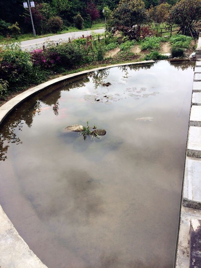 青阳白雲人家农家乐