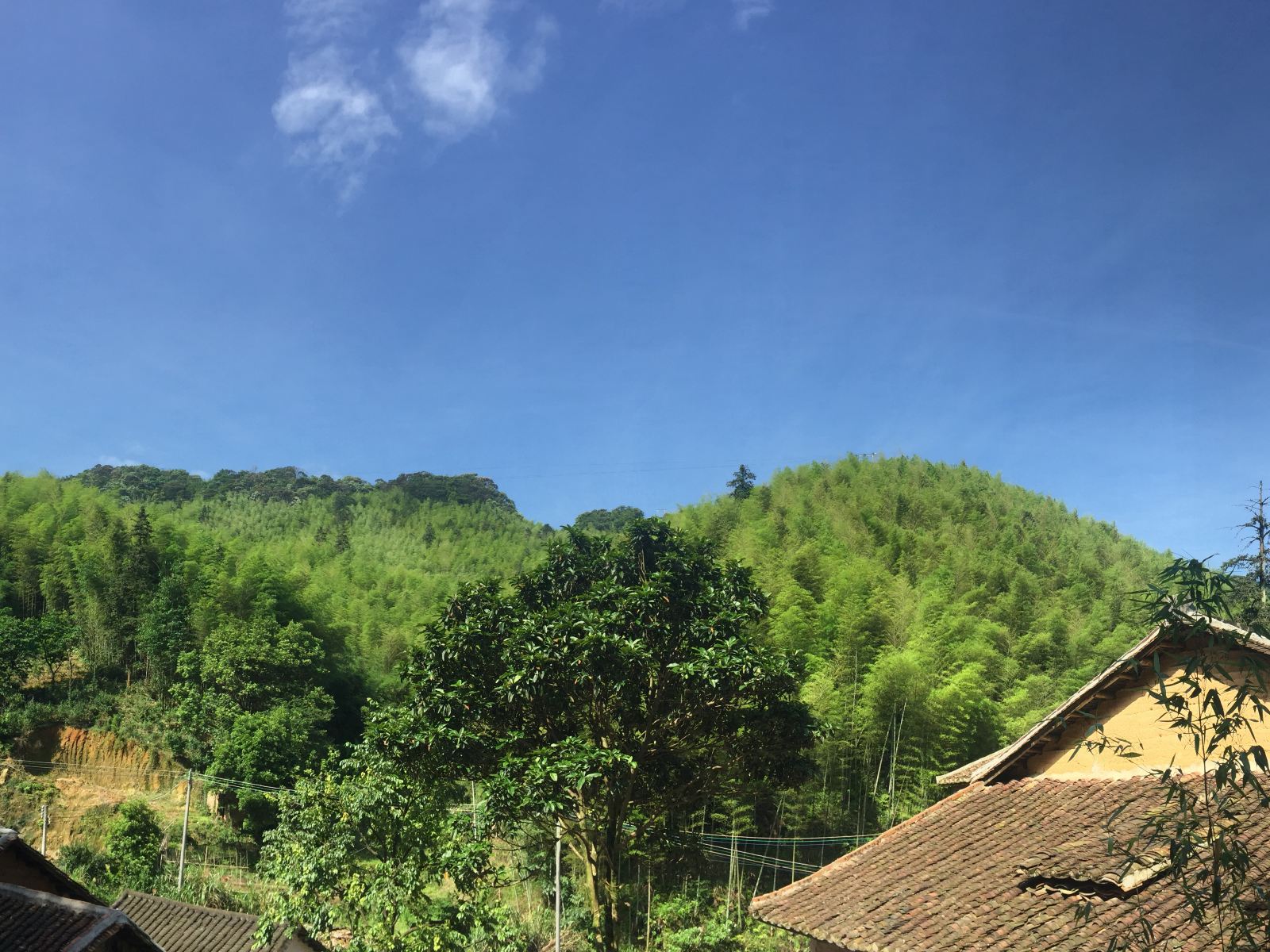 惠州南昆山喜屋农家乐