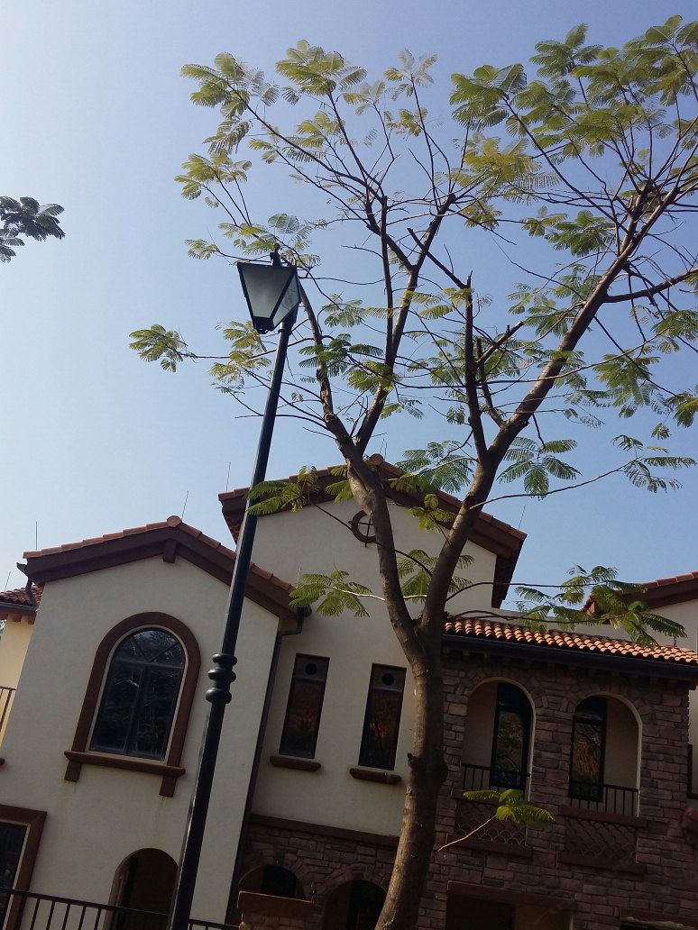 龙门南昆山·肯新顿温泉公寓式酒店