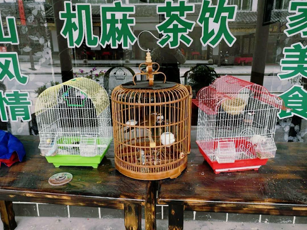 南江大自然休闲庄
