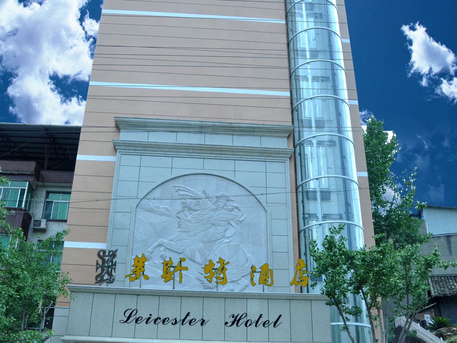 外观
