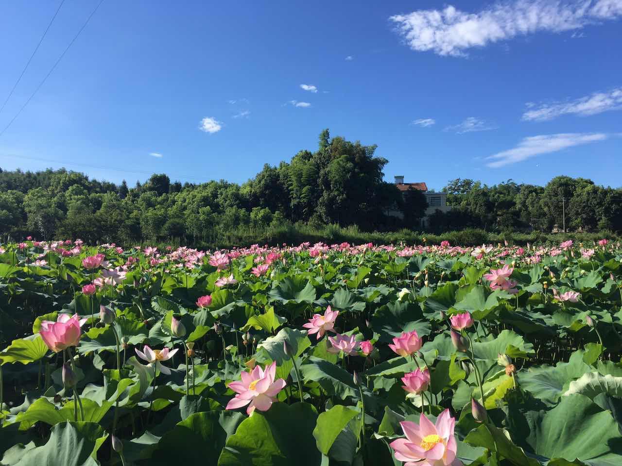 岳阳周葉子度假别墅