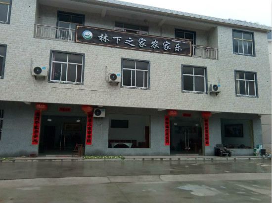 石台林下之家农家乐