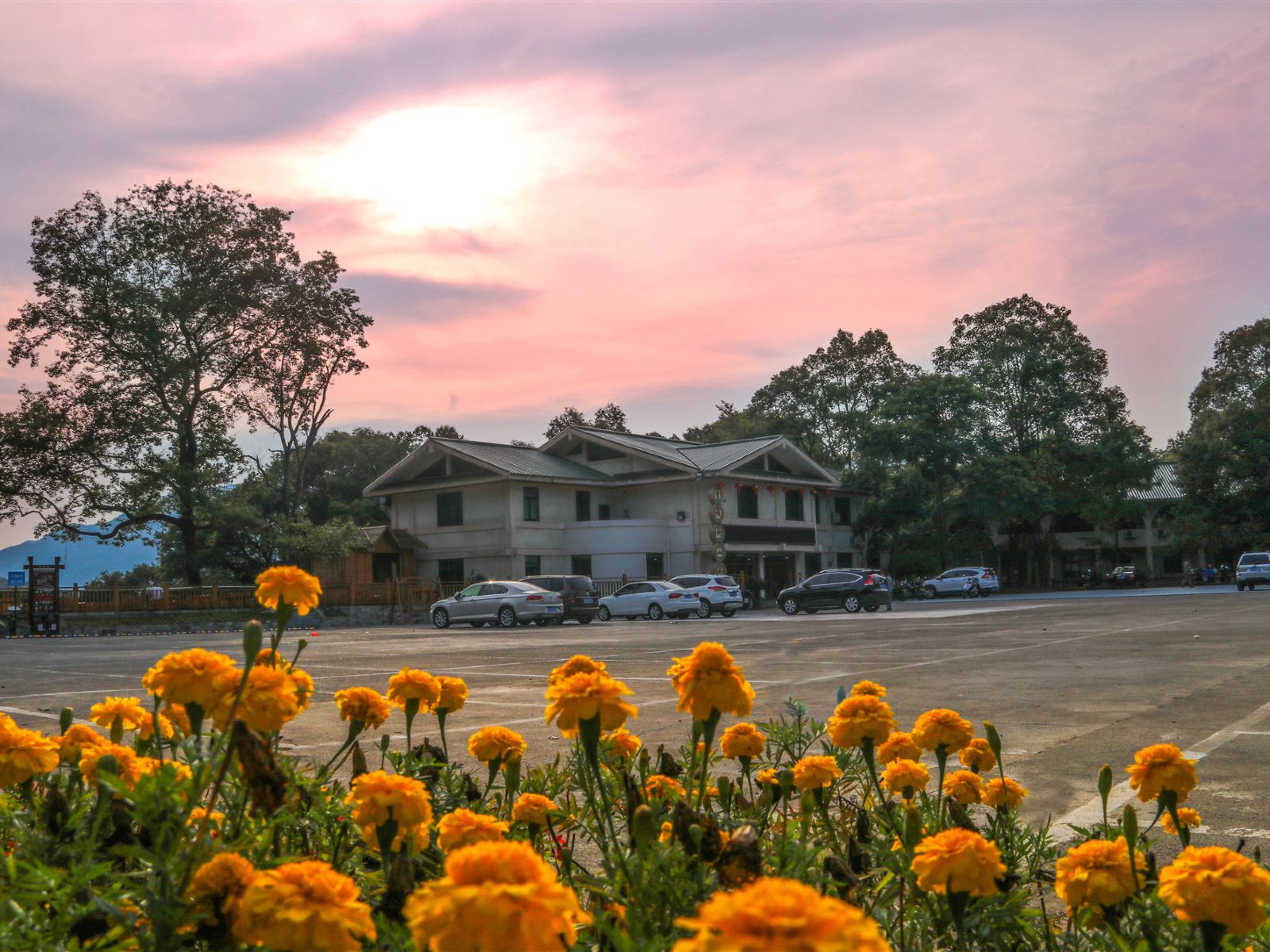 永春牛姆林青钱柳山庄