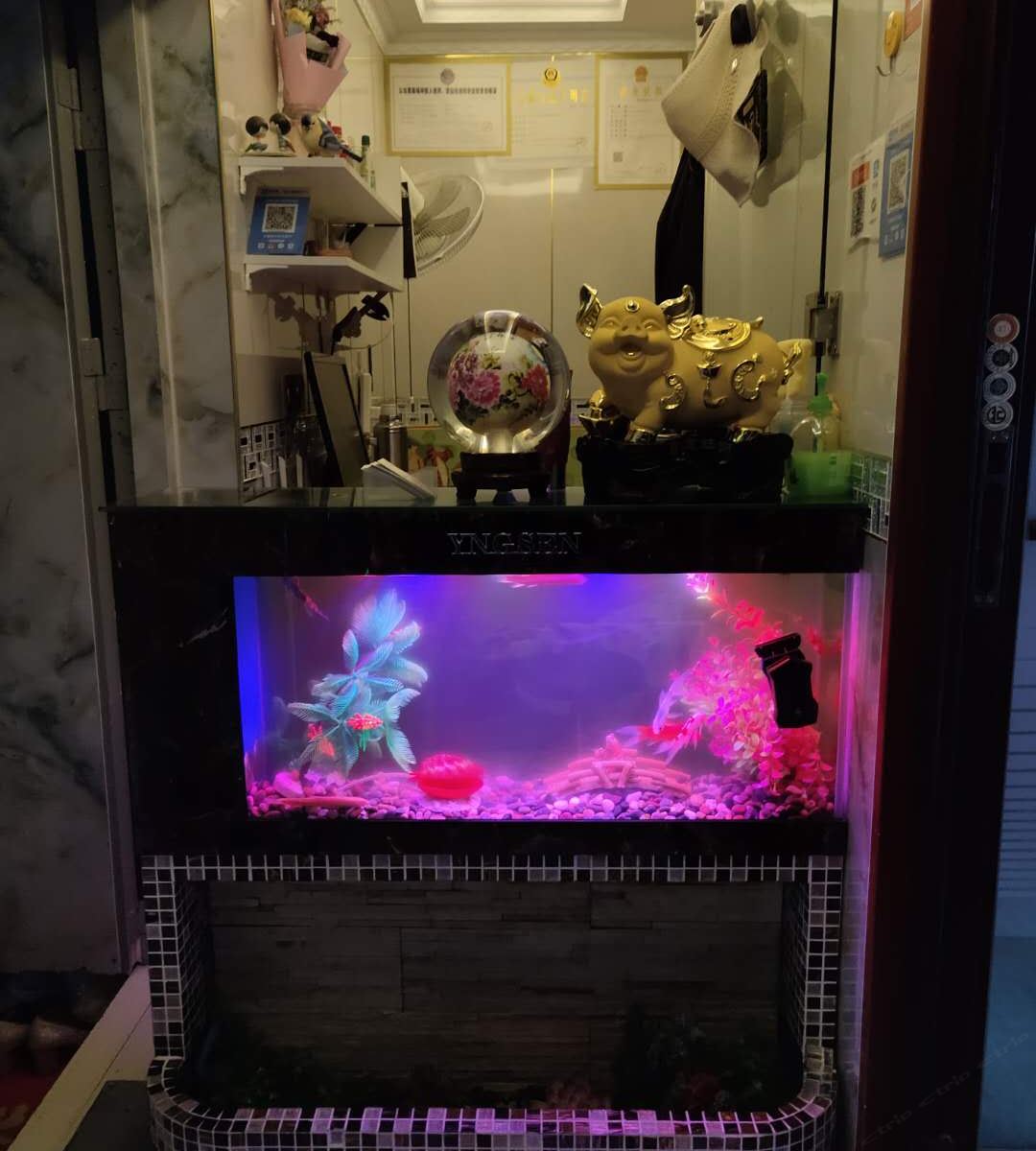 公共区域