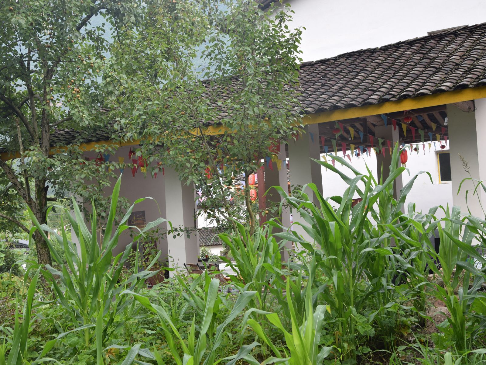 公共区域