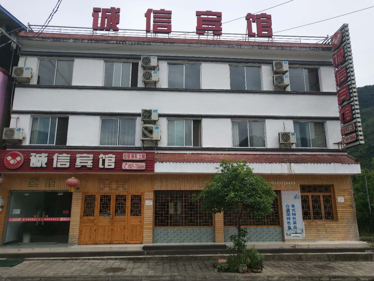外观
