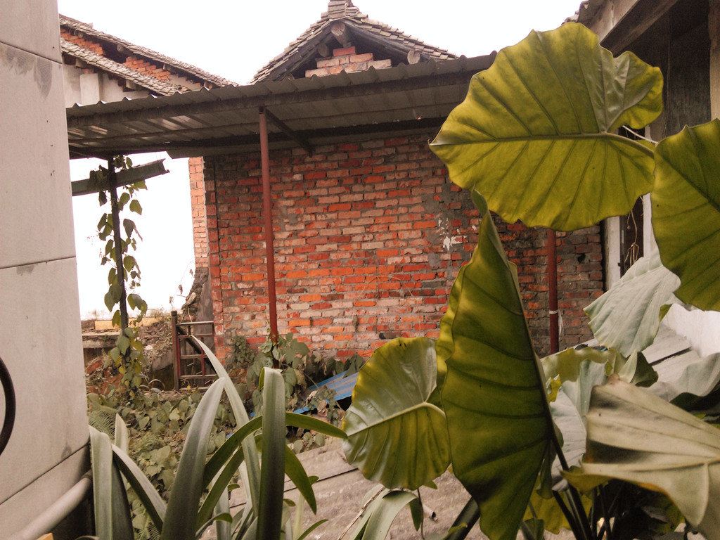 蒲江瀛洲客栈