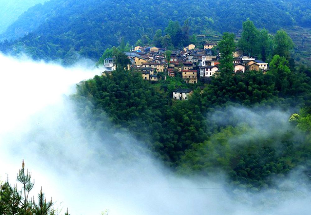 松阳青山绿谷客栈