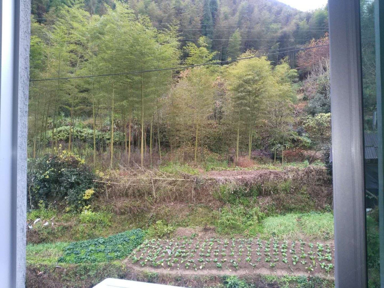 松阳竹畔听枫客栈