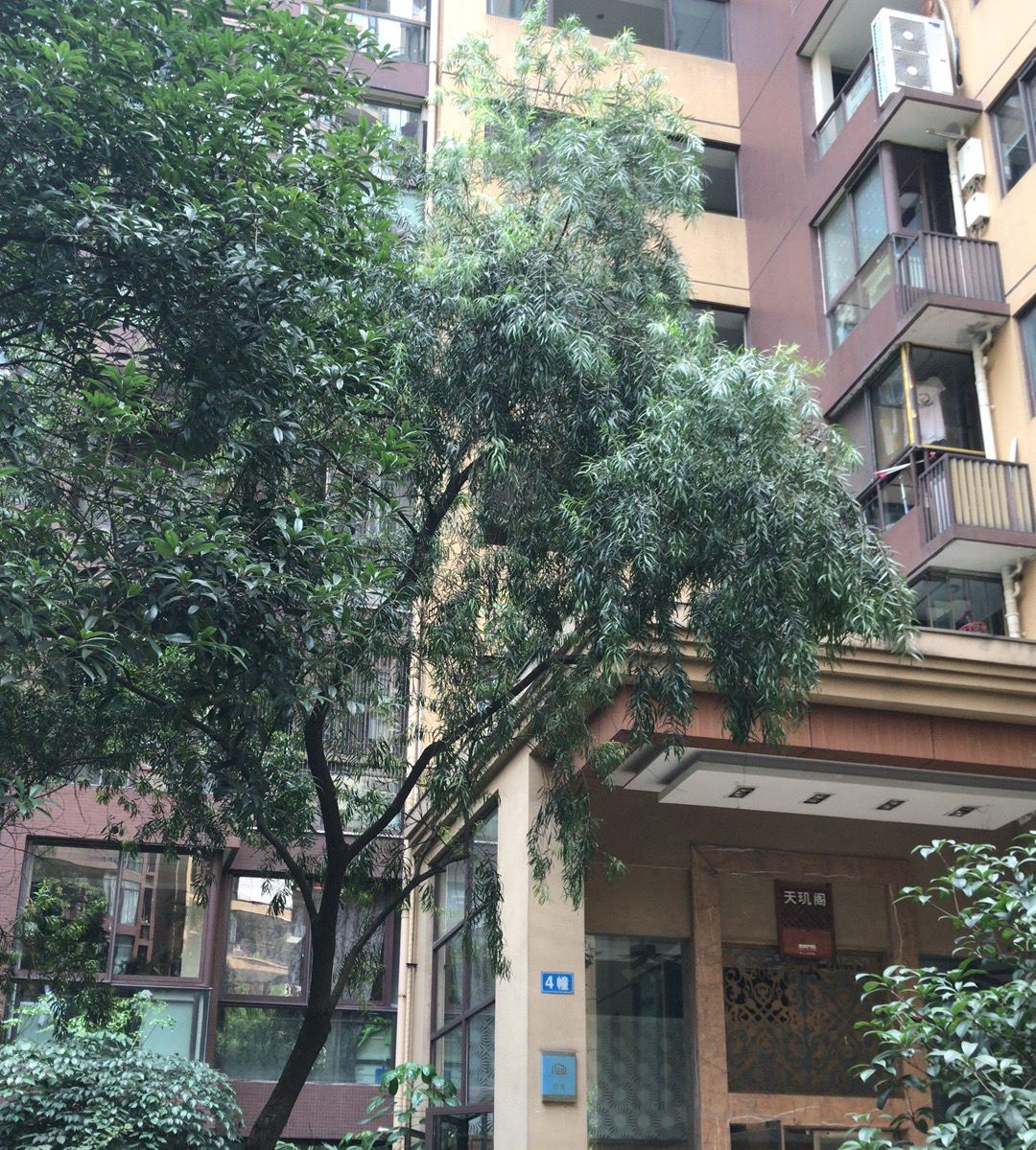 重庆悠悠民宿