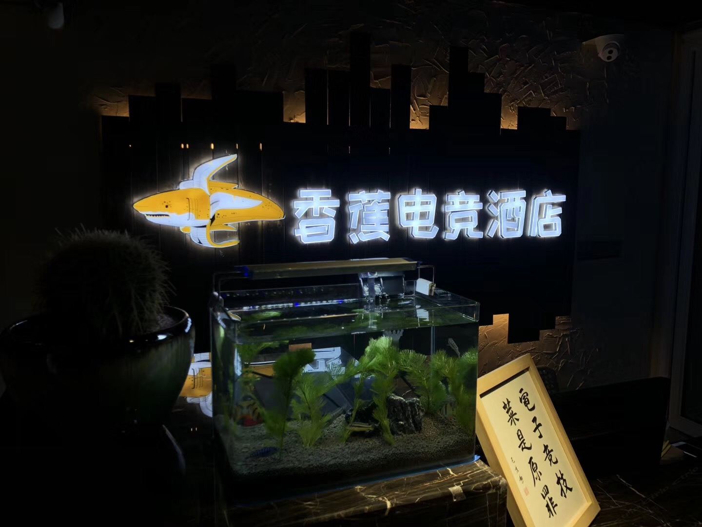 其他