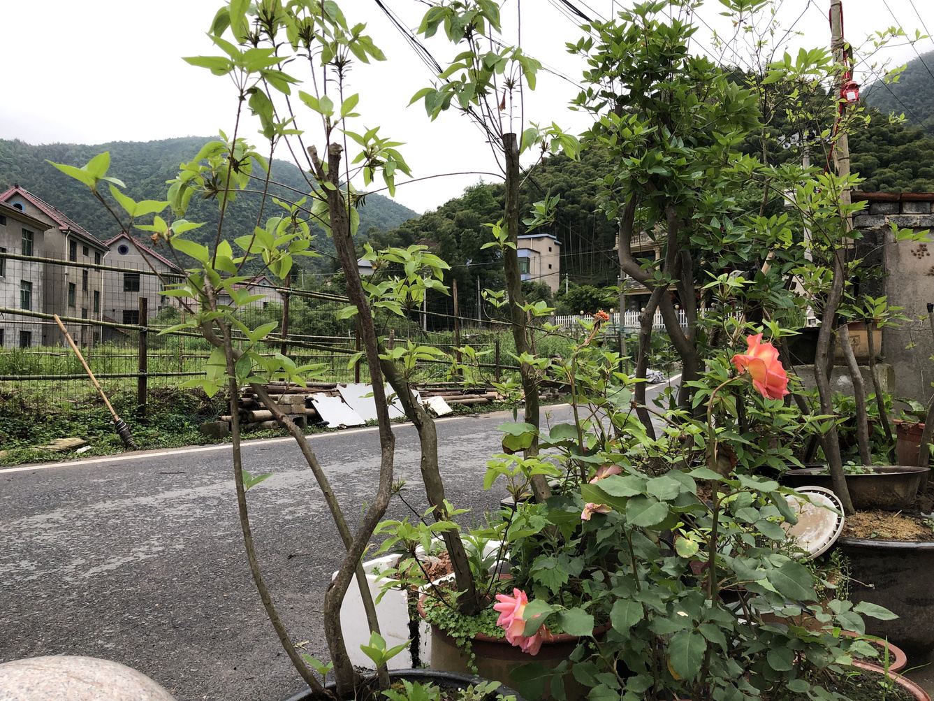 其他