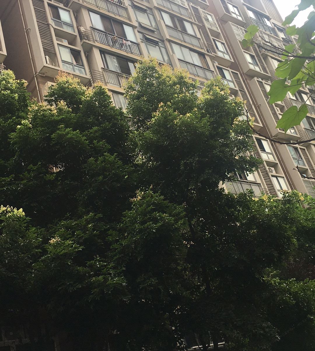 成都尚品燕林公寓