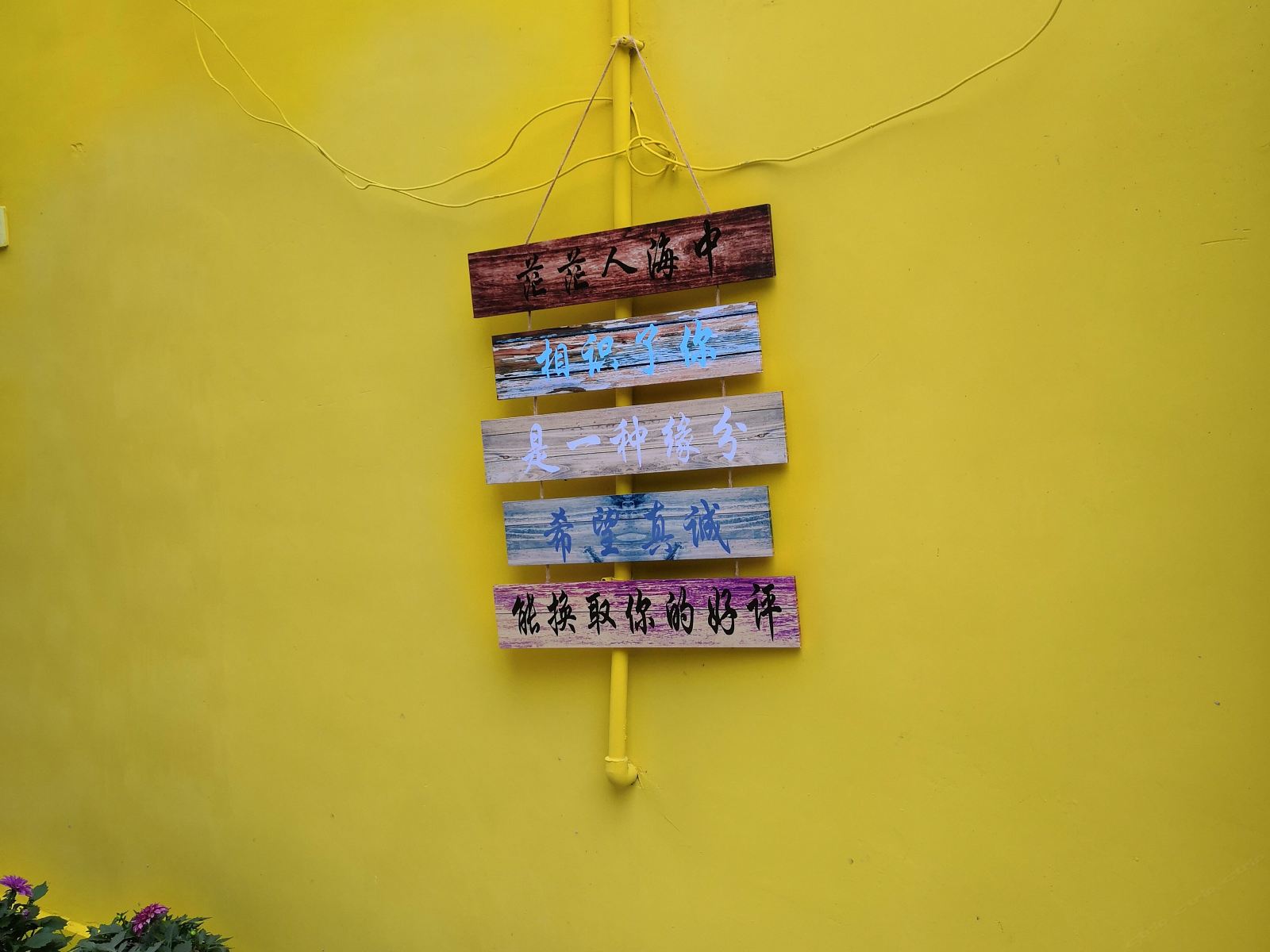 其他