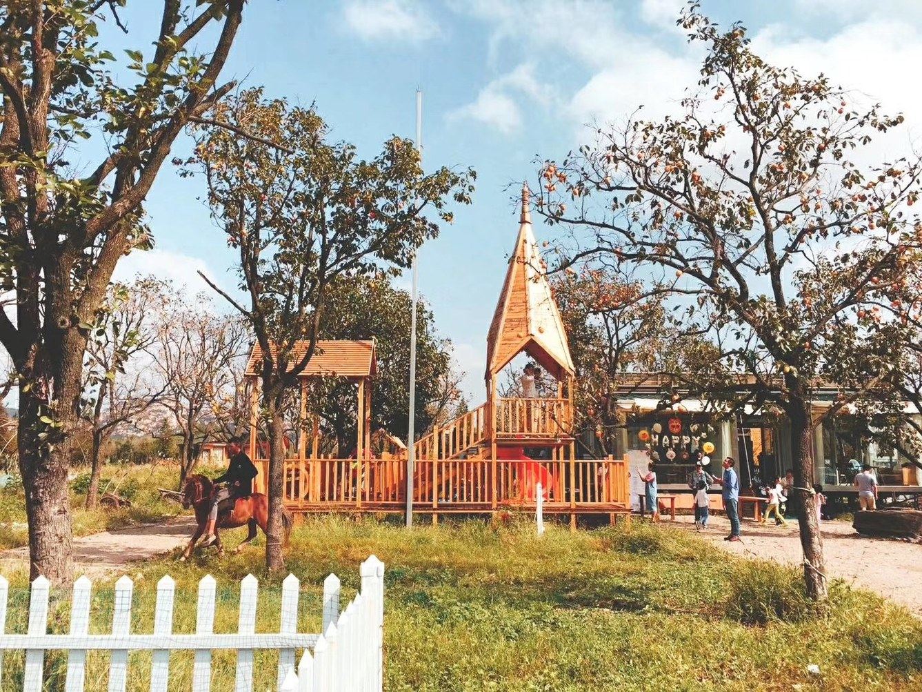 其他