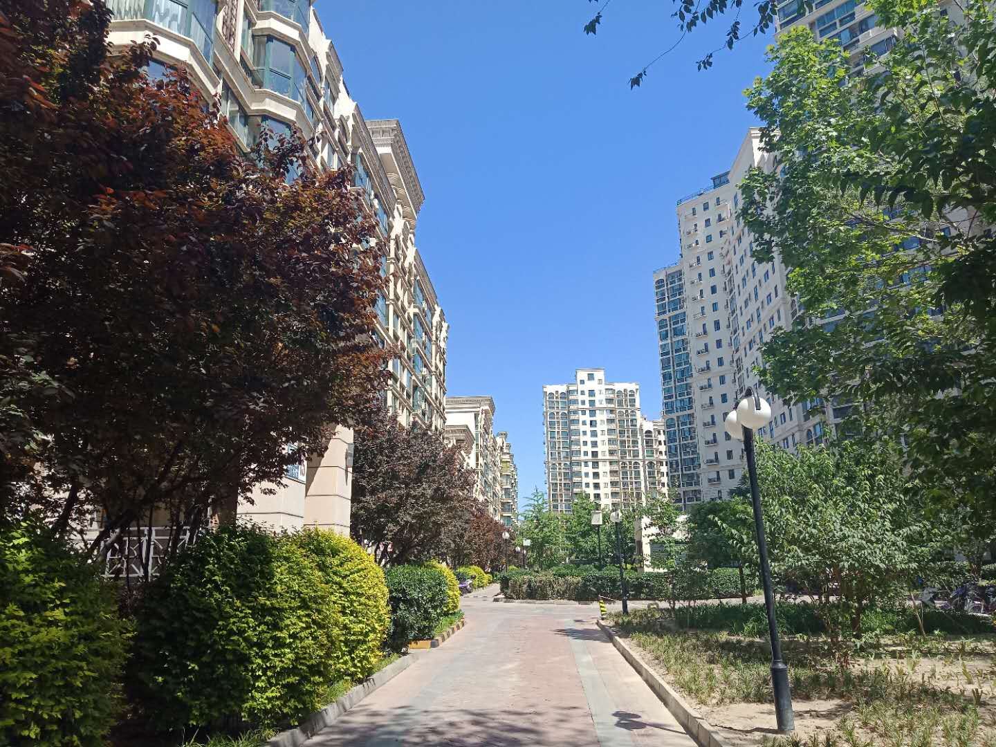 北京阳光麦粒书舍青旅