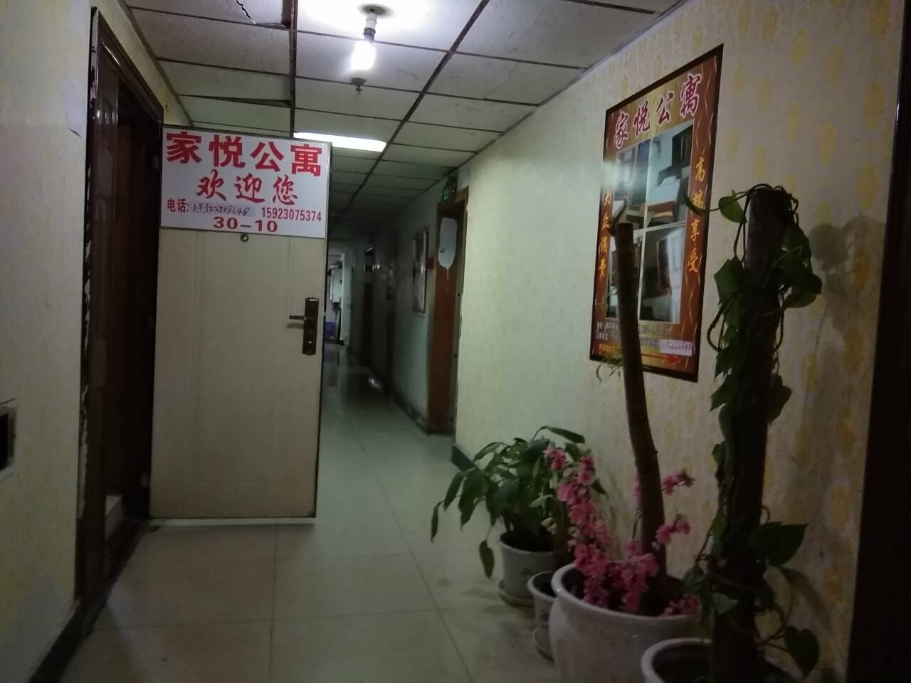 公共区域