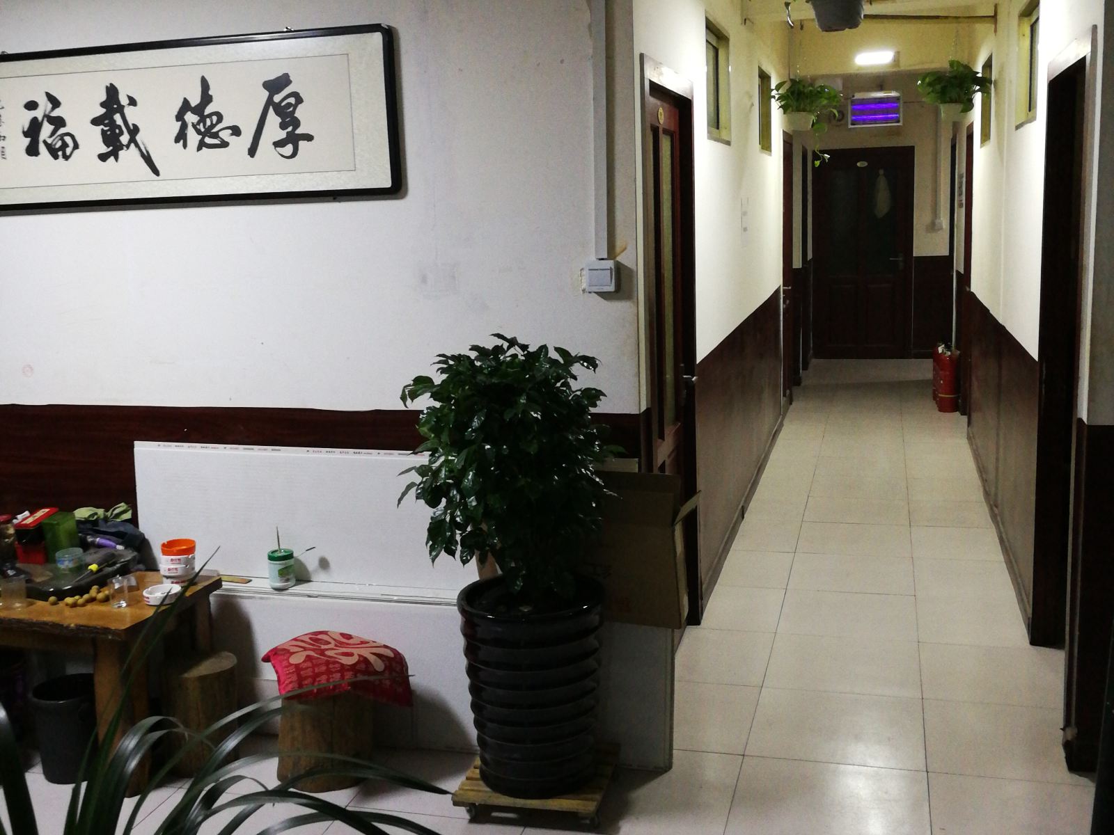 公共区域