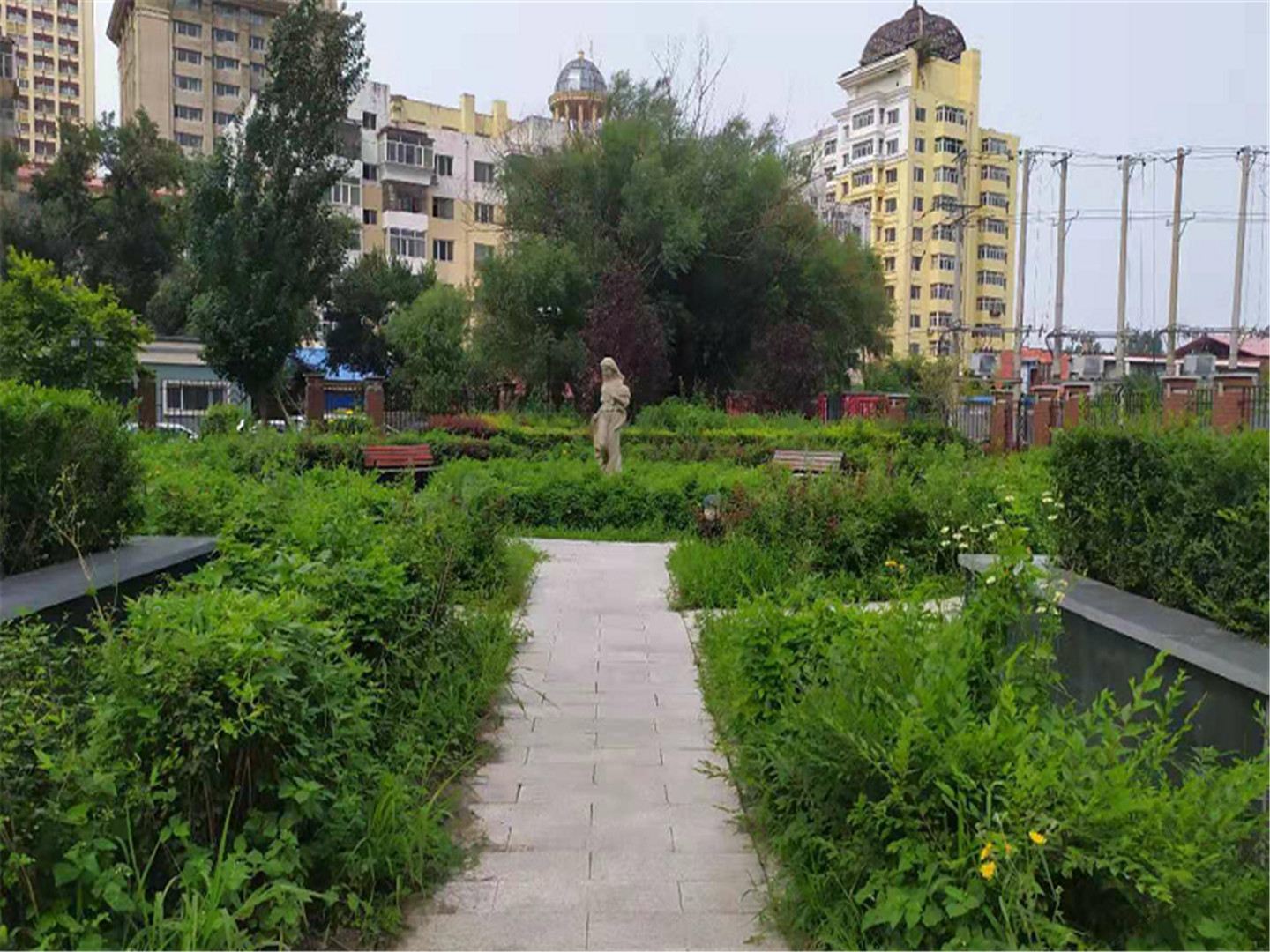 公共区域