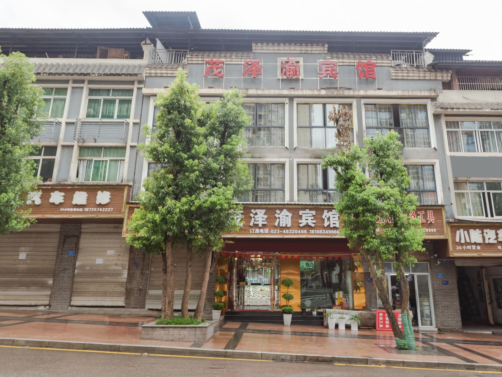 外观