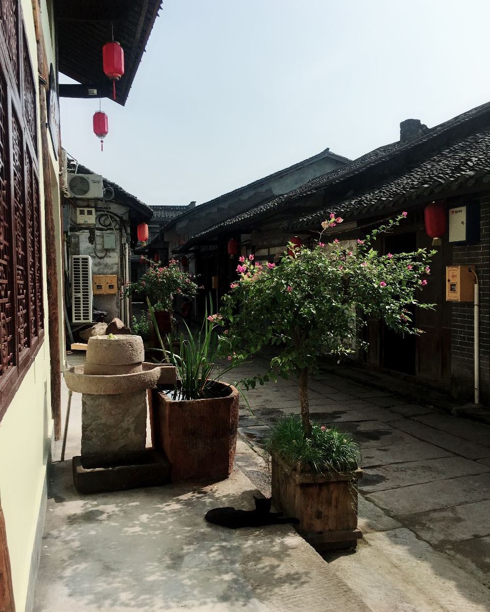 公共区域