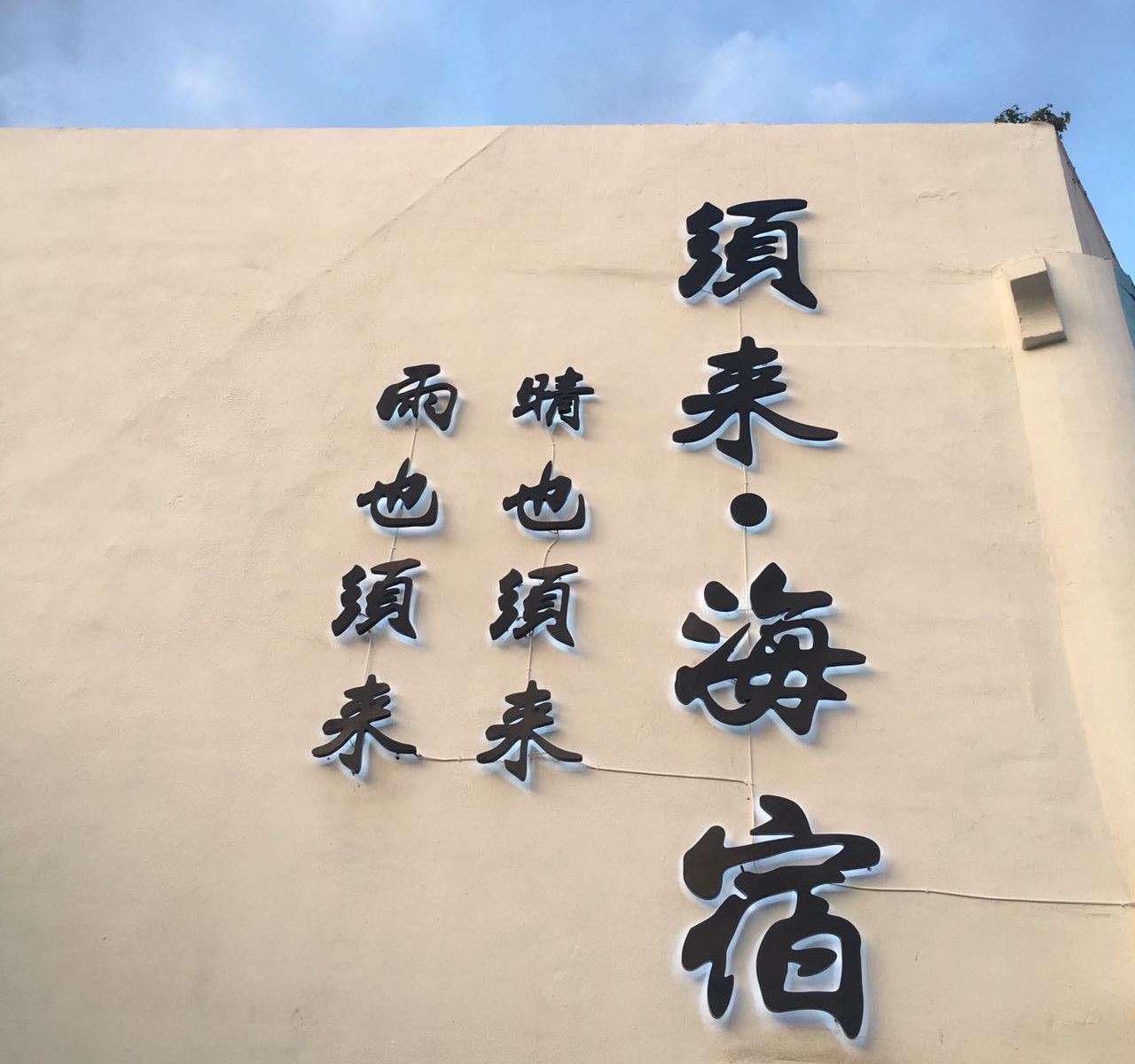 外观