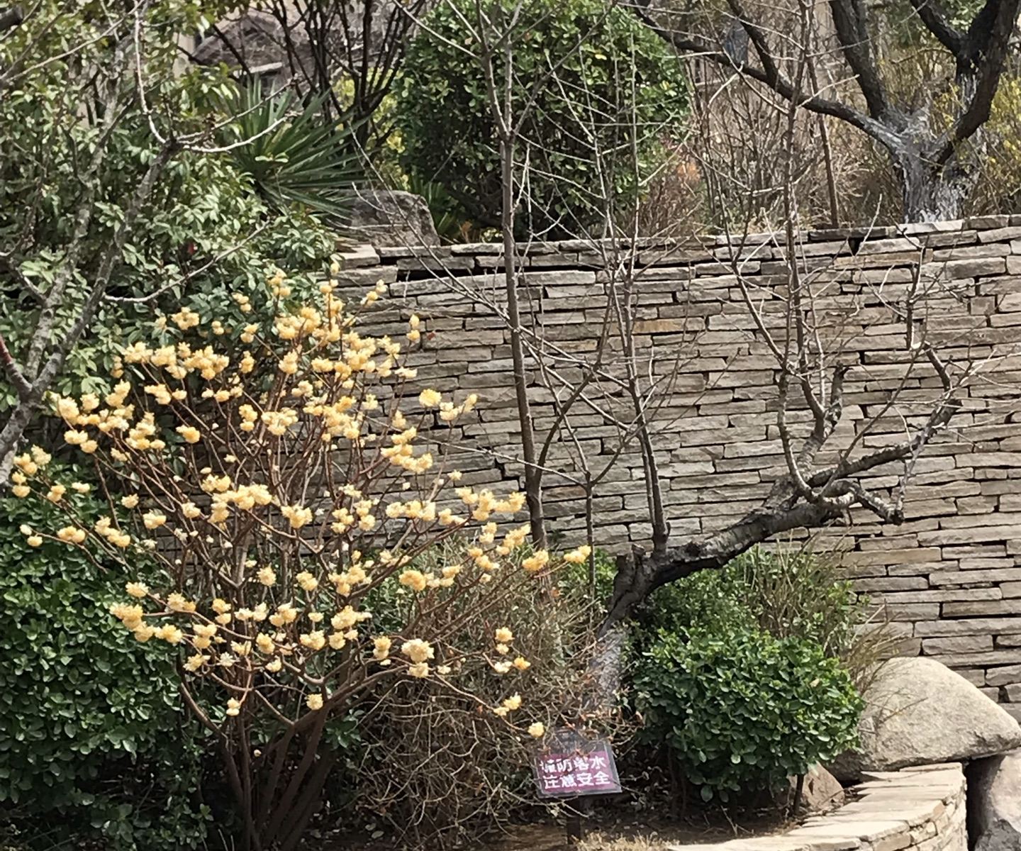 青岛海岸艺术别墅