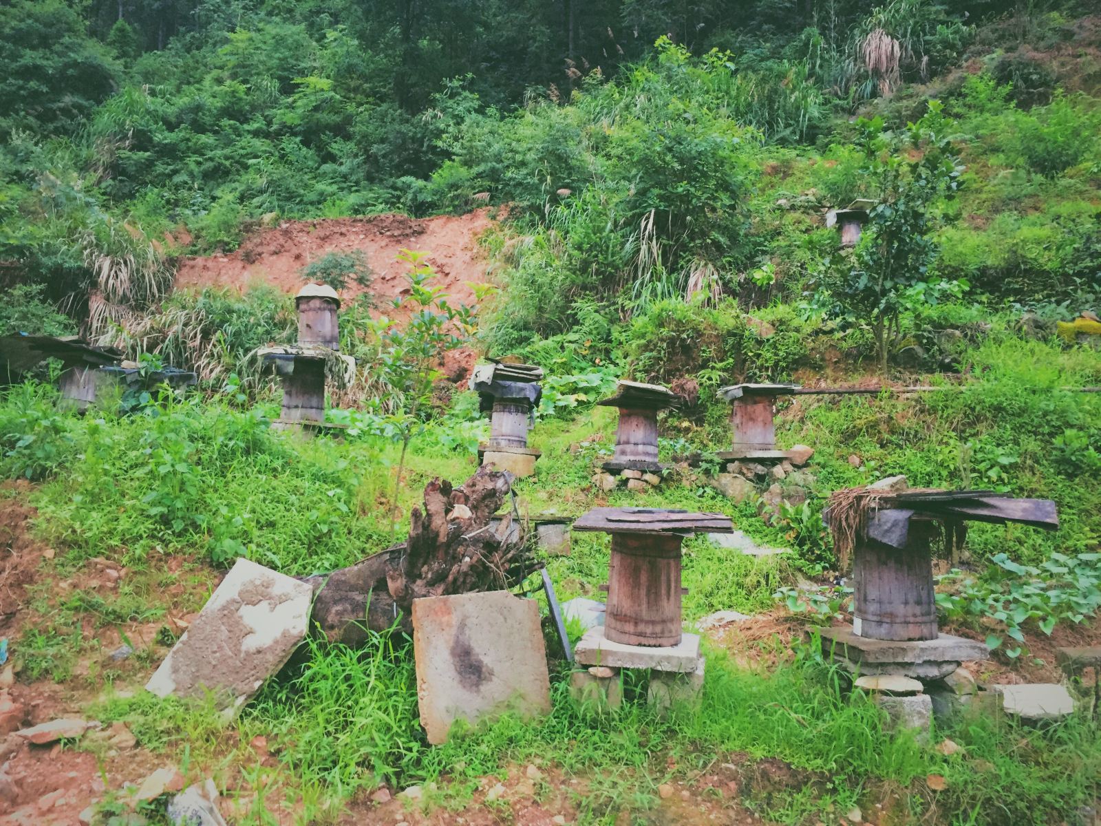 其他