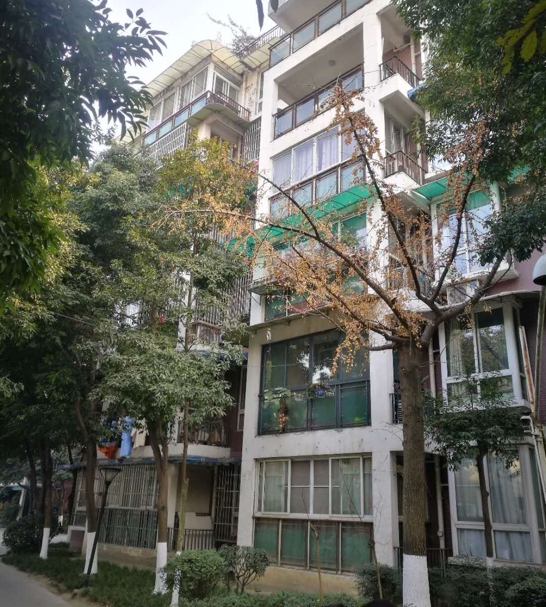 成都啾啾巢民宿